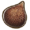 Snake fruit.png