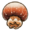 Cannonball jellyfish.png