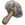 Hammerstone.png