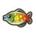 Rainbow fish.png