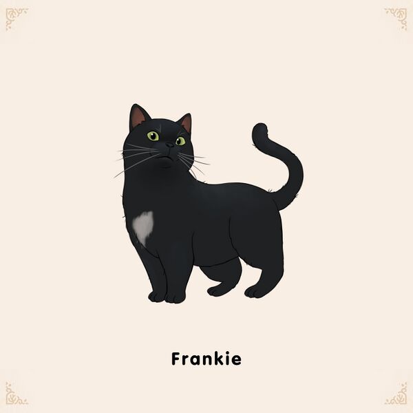 File:Adoptable Frankie.jpg