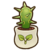 Dragonfruit seedling.png