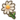 Daisy.png