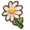 Daisy.png