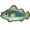 Barramundi.png