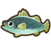 Barramundi.png