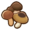 Any mushroom.png