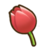 Tulip.png