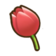 77Tulip.png