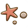 129Starfish path.png