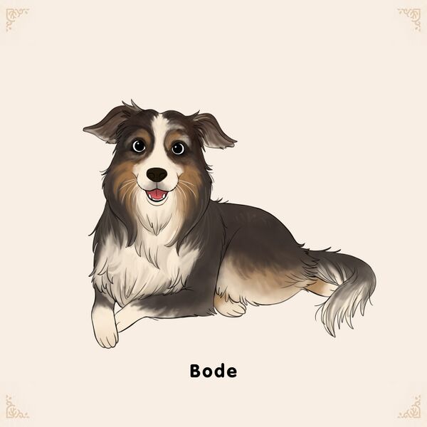 File:Adoptable Bode.jpg