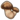 Matsutake.png