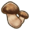 Matsutake.png