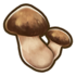 Matsutake.png
