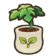 179Papaya Seedling.png