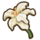 Lily (flower).png