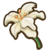 Lily (flower).png