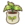 Pear seedling.png