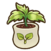Pear seedling.png