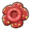 Rafflesia.png