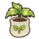 198Pear Seedling.png
