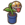 Gaming plant tall.png