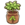 Orange sapling.png