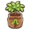 Orange sapling.png