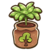 Orange sapling.png