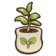 210Plum Seedling.png